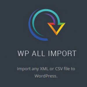 WP All Import Elite + WP All Export Pro плагин импорта + плагин Экспорта