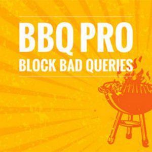 bbq 300x300 - BBQ Pro - Блокировка плохих запросов на сайт WordPress