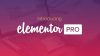Elementor Pro - Фронтенд Редактор + шаблоны Премиум от Elementorism