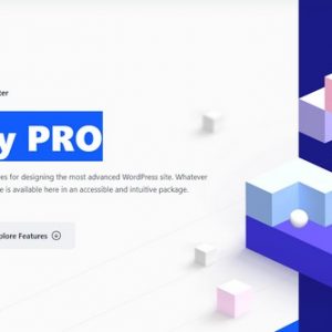 Blocksy + Blocksy Companion (Premium) - Тема и Премиум плагин конструктор