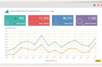 Visitor Traffic Real Time Statistics PRO - Статистика посещаемости в реальном времени - плагин статистики посещаемости.