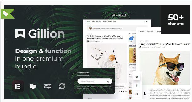 Gillion - Мультиконцептуальный блог,журнал и магазин WordPress